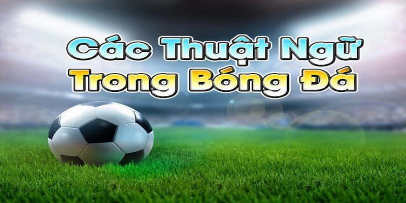 Tân binh cần nằm lòng những thuật ngữ bóng đá thường được sử dụng trước khi tham gia